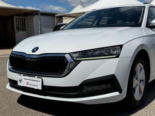 SKODA Octavia usata, con Cruise Control