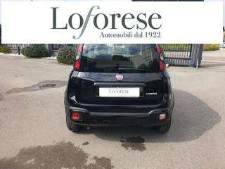 FIAT Panda Cross usata, con Alzacristalli elettrici