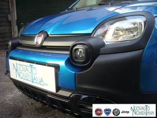 FIAT Panda Cross usata, con Alzacristalli elettrici