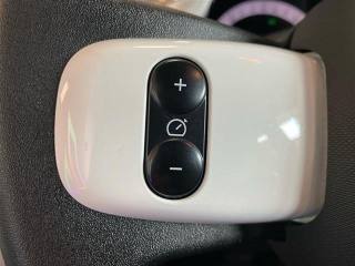 RENAULT Twingo usata 16
