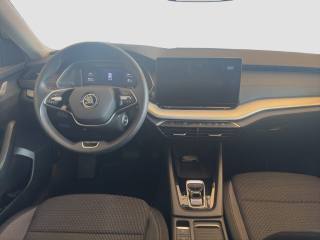 SKODA Octavia usata 11