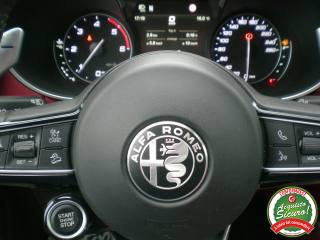 ALFA ROMEO Stelvio usata 20