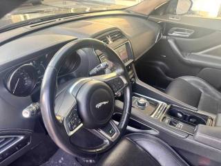JAGUAR F-Pace usata, con Cruise Control