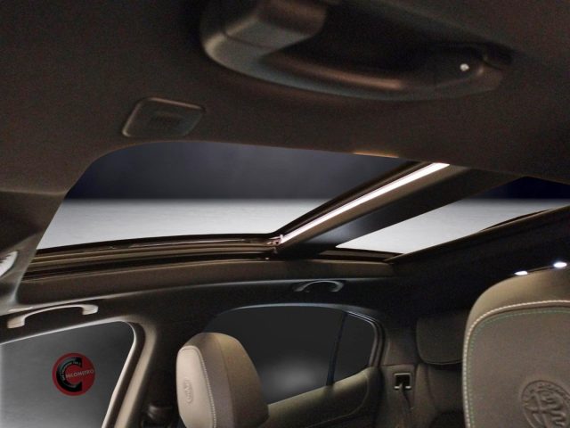 ALFA ROMEO Stelvio usata 13