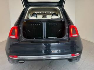 FIAT 500 usata 5