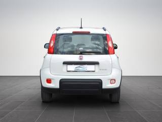FIAT Panda usata, con Autoradio