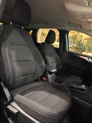 FORD Kuga usata, con Cronologia tagliandi