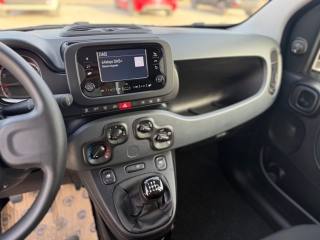 FIAT Panda usata 14