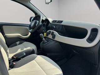 FIAT Panda usata, con Servosterzo
