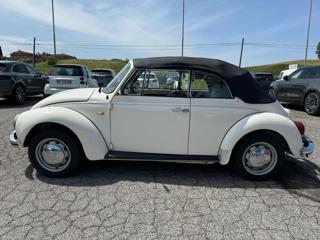 VOLKSWAGEN Maggiolone usata 4