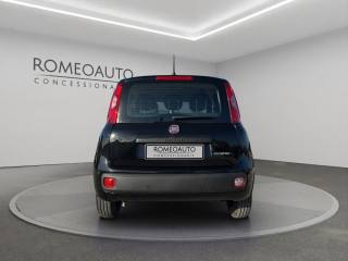 FIAT Panda usata, con Chiusura centralizzata
