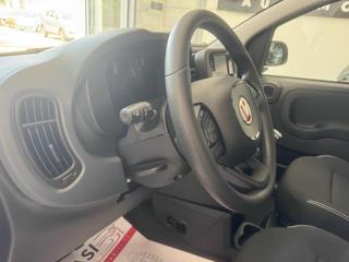 FIAT Panda usata, con Controllo trazione
