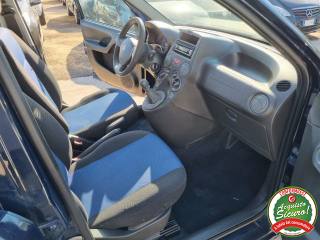 FIAT Panda usata 9