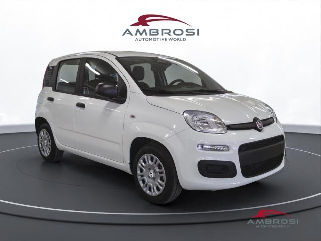 FIAT Panda usata 0