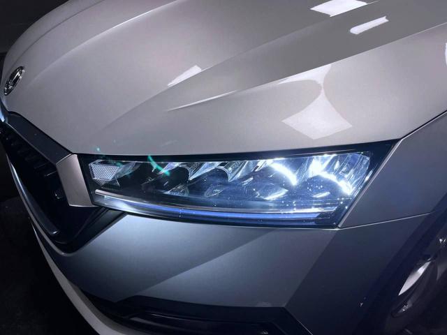 SKODA Octavia usata, con Fendinebbia