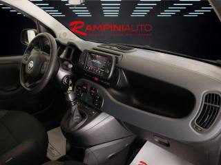 FIAT Panda Cross usata 19