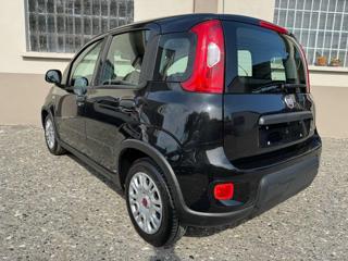 FIAT Panda usata, con Airbag Passeggero