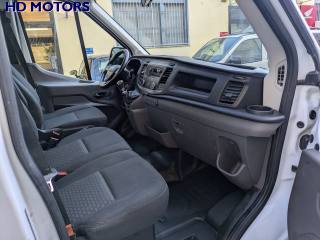 IVECO Daily usata, con Fendinebbia