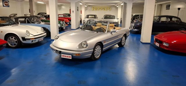 ALFA ROMEO Spider usata 0