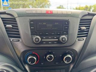 IVECO Daily usata, con Immobilizzatore elettronico