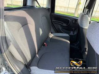 FIAT Panda usata, con Controllo trazione