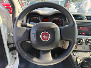 FIAT Panda usata 12