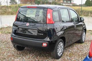 FIAT Panda usata, con Airbag laterali