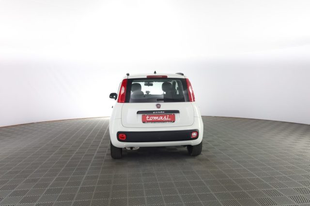 FIAT Panda usata 4
