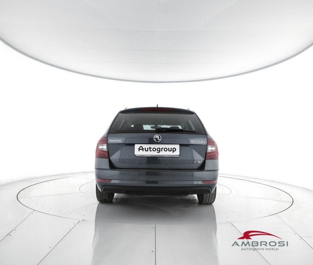 SKODA Octavia usata 5