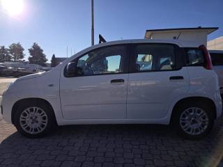 FIAT Panda usata, con ESP