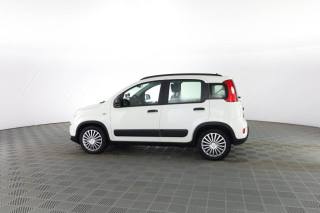 FIAT Panda usata 5