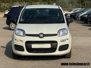 FIAT Panda usata 2