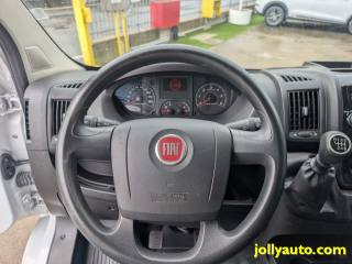 FIAT Ducato usata, con Volante multifunzione
