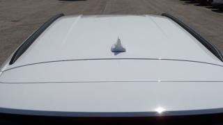 FORD Focus usata, con Frenata d