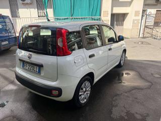 FIAT Panda usata, con Airbag Passeggero