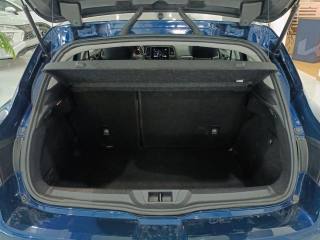RENAULT Megane usata, con Immobilizzatore elettronico