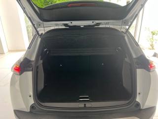 PEUGEOT 2008 usata, con Cronologia tagliandi