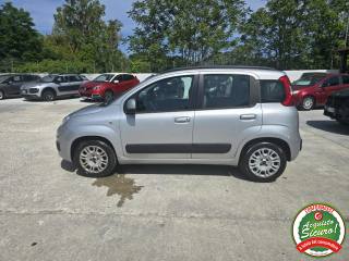 FIAT Panda usata 3