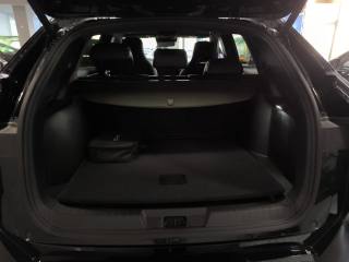 BYD Seal usata, con Bracciolo