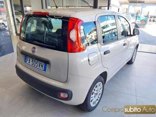 FIAT Panda usata, con Controllo trazione