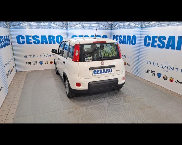 FIAT New Panda usata, con Airbag Passeggero
