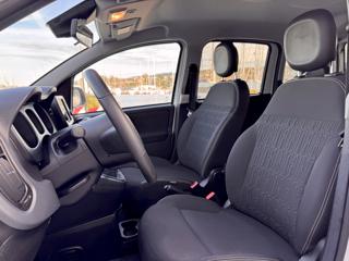 FIAT Panda Cross usata, con Controllo trazione