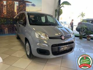 FIAT Panda usata, con Airbag Passeggero