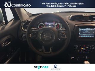 JEEP Renegade usata, con Cruise Control