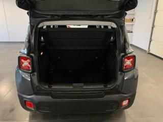 JEEP Renegade usata, con Fendinebbia