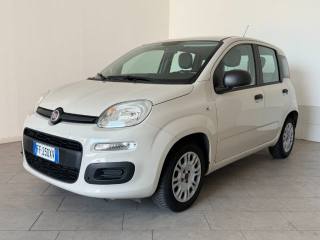 FIAT Panda usata 2