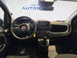 FIAT New Panda usata, con Controllo elettronico della corsia