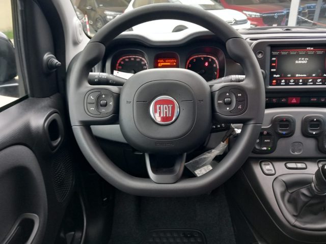 FIAT Panda usata 17