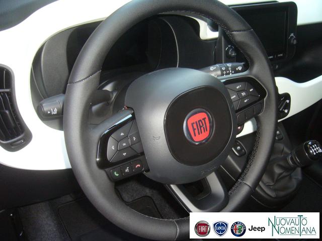 FIAT Panda Cross usata, con Volante multifunzione