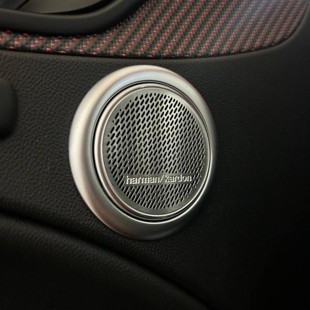 ALFA ROMEO Stelvio usata, con Leve al volante